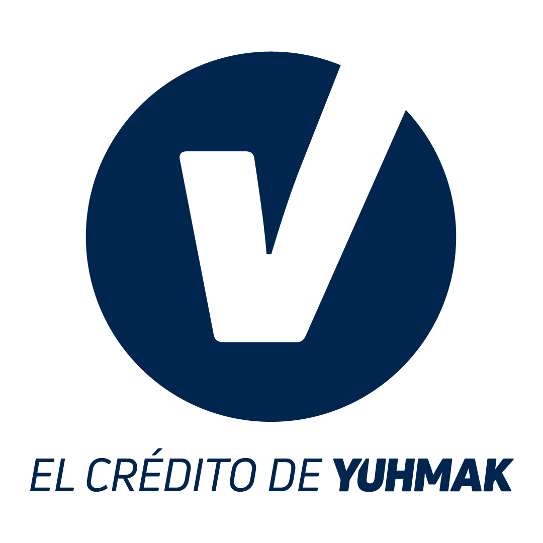 Visir-Web-1000x1000-icono-imagotipo